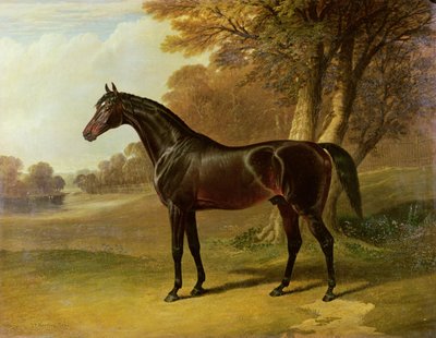 Glauco da John Frederick Herring Senior