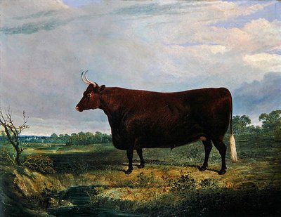 Ritratto di un toro marrone da John Frederick Herring Senior