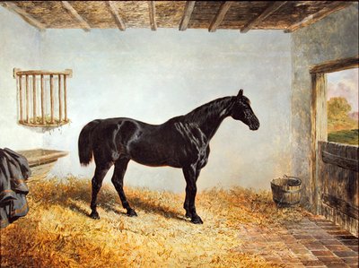 Ritratto di uno stallone in una stalla da John Frederick Herring Senior