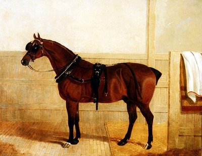 Cavallo da Tiro Premiato in Imbracatura da John Frederick Herring Senior