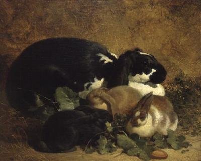 Conigli da John Frederick Herring Senior