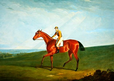 Ringlet con J. Jackson in sella, c.1823 da John Frederick Herring Senior