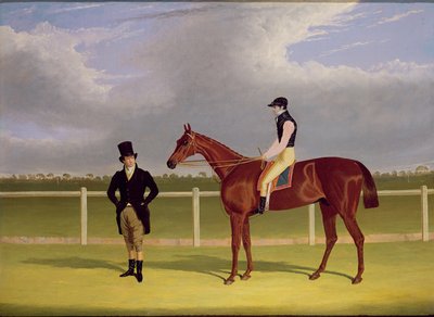 Il 