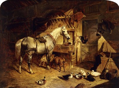 Interno di una stalla con un cavallo grigio maculato in bardatura, con anatre, capre e un gallo vicino a una mangiatoia, 1843 da John Frederick Herring Senior