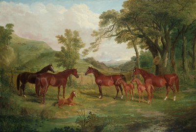 Lo Streatlam Stud, fattrici e puledri, 1836 da John Frederick Herring Senior