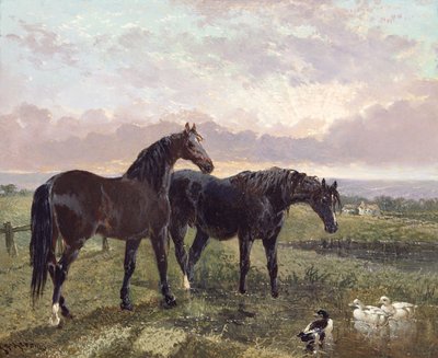 Due cavalli che pascolano al tramonto da John Frederick Herring Senior