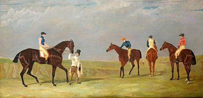 Immagine Sconosciuta da John Frederick Herring Senior