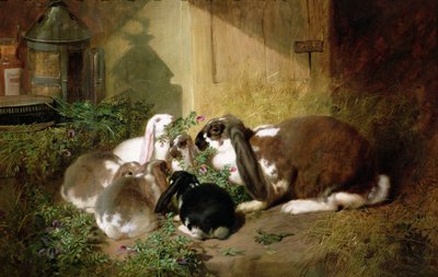 Immagine sconosciuta da John Frederick Herring Senior