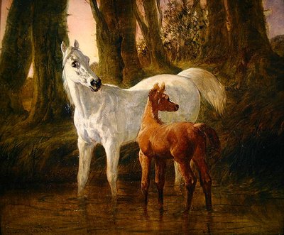 Cavalla e puledro spaventati mentre si abbeverano in un ruscello da John Frederick Herring Senior