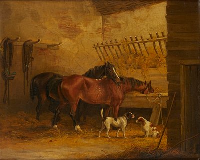 Cavalli e Cani in un Interno di Stalla da John Frederick Jr. (attr.to) Herring