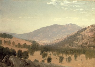 Bergen Park, Colorado da John Frederick Kensett