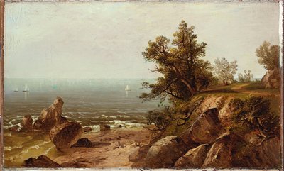 Sulla costa, Beverly, Massachusetts da John Frederick Kensett