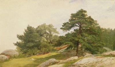 Studio per alberi sulla costa di Beverly da John Frederick Kensett