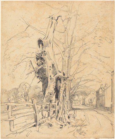 Alberi presso una staccionata da John Frederick Kensett