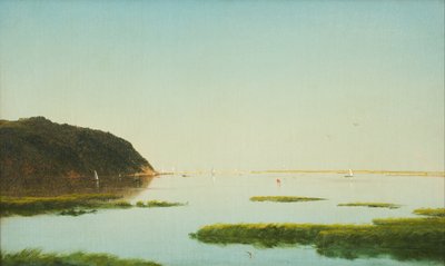 Vista del fiume Shrewsbury, New Jersey da John Frederick Kensett