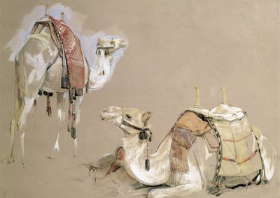 Studi di Cammelli da John Frederick Lewis