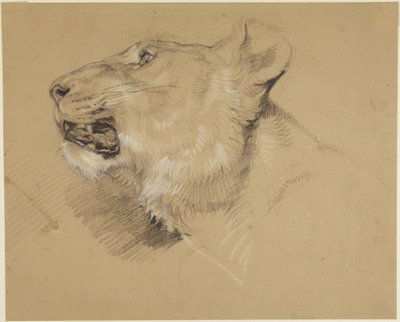  da John Frederick Lewis