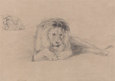 Studio di un leone e studio di una testa di leonessa da John Frederick Lewis