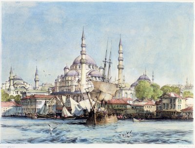 Yeni Jami e Santa Sofia dal Corno d