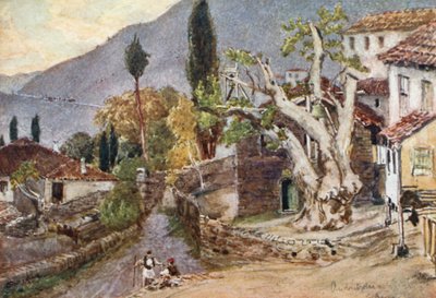 Andritsaena. Il luogo di riposo per il Tempio di Apollo a Bassae da John Fulleylove