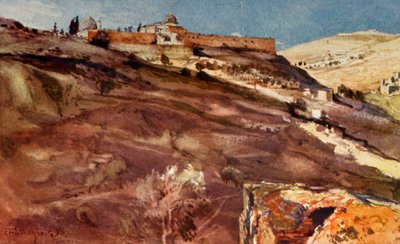 Gerusalemme. - Muro sud dell