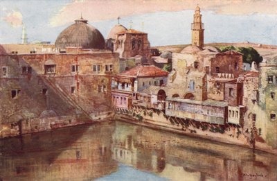 Gerusalemme, la piscina di Ezechia da John Fulleylove