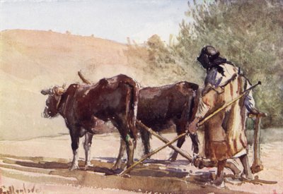 Aratura sul Monte degli Ulivi da John Fulleylove