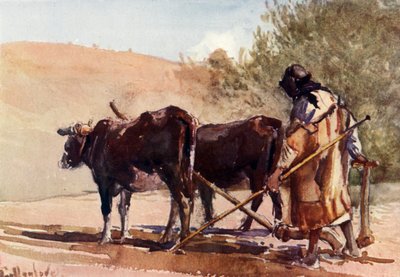 Aratura sul Monte degli Ulivi, 1902 da John Fulleylove