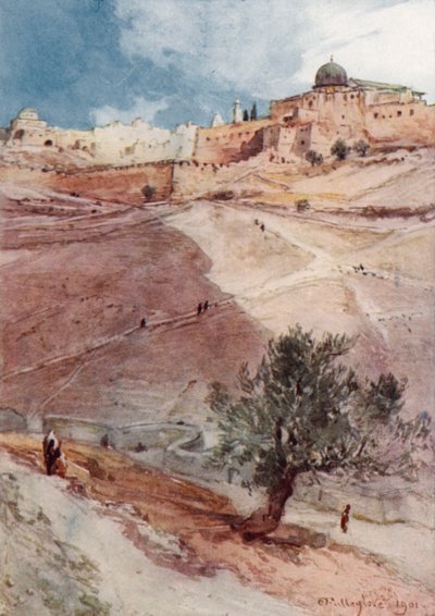 Muro sud di Gerusalemme, dall