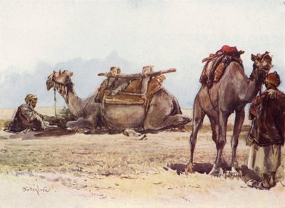 Studio di cammelli e attendenti da John Fulleylove
