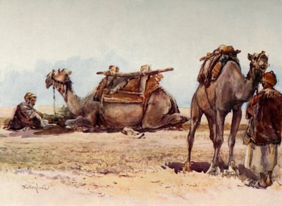 Studio di cammelli e attendenti, 1902 da John Fulleylove