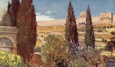 I cipressi del Giardino del Getsemani da John Fulleylove