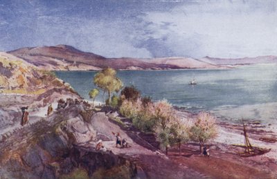 La Terra Santa: Il Mare di Galilea (litografia a colori) da John Fulleylove