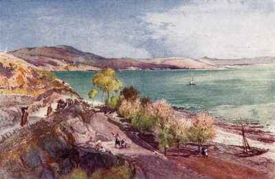 Il lago di Galilea, guardando a nord da Tiberiade da John Fulleylove