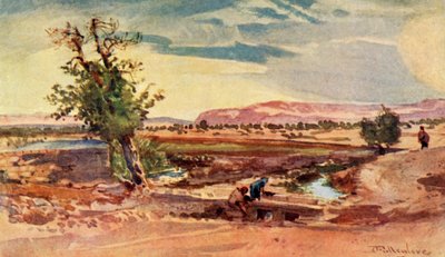 Il ruscello che scorre dalla sorgente di Eliseo, 1902 da John Fulleylove