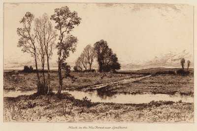 Brughiera nella Nuova Foresta, vicino a Lyndhurst da John Fullwood