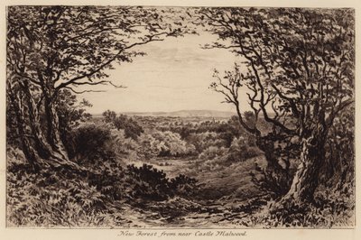 New Forest vicino a Castle Malwood da John Fullwood