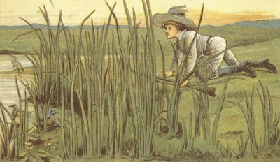Ragazzo che caccia anatre da John George (after) Sowerby