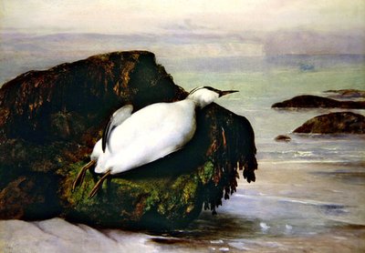 Shanklin da John George Naish