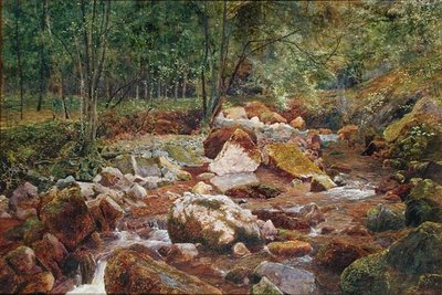 Un torrente roccioso sovrastato da alberi da John George Sowerby