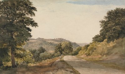 Una strada dello Yorkshire da John Glover