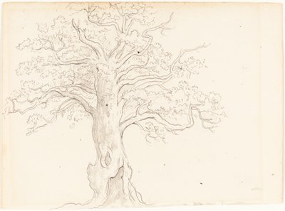 Una Quercia da John Glover
