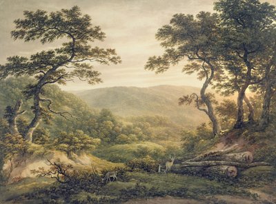 Foresta di Needlewood, Hampshire da John Glover