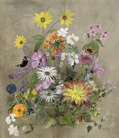 Fiori Estivi da John Gubbins