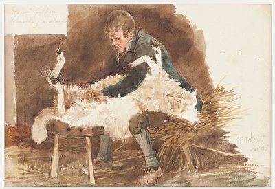 Tosatura delle pecore, 1808 da John Harden