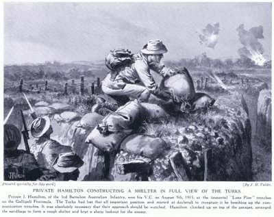 Il soldato Hamilton costruisce un rifugio sotto gli occhi dei turchi nelle trincee di Lone Pine sulla penisola di Gallipoli, agosto 1915 da John Harris Valda