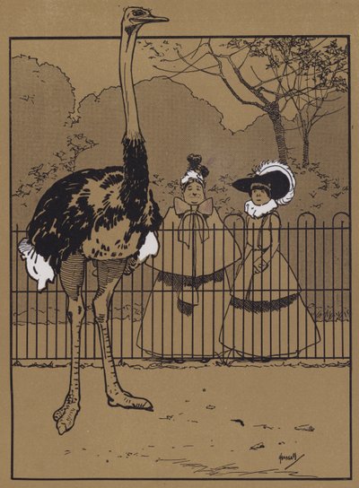 Piume di struzzo da John Hassall
