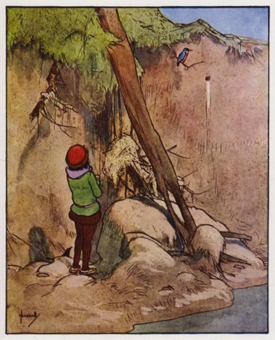 Il martin pescatore da John Hassall
