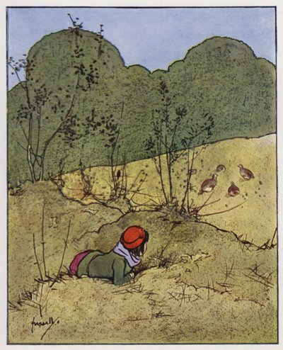 La pernice da John Hassall
