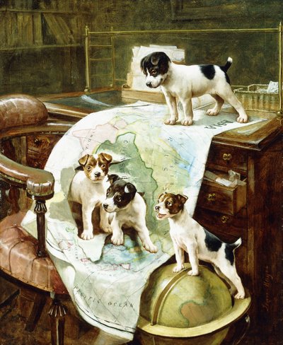 Jack Russell cuccioli ben viaggiati da John Hayes